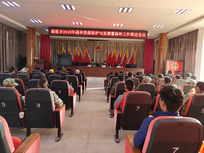 20190215 2019年度森林资源保护发展暨森林防火工作推进会议（杨文洁摄） (1)_副本.jpg